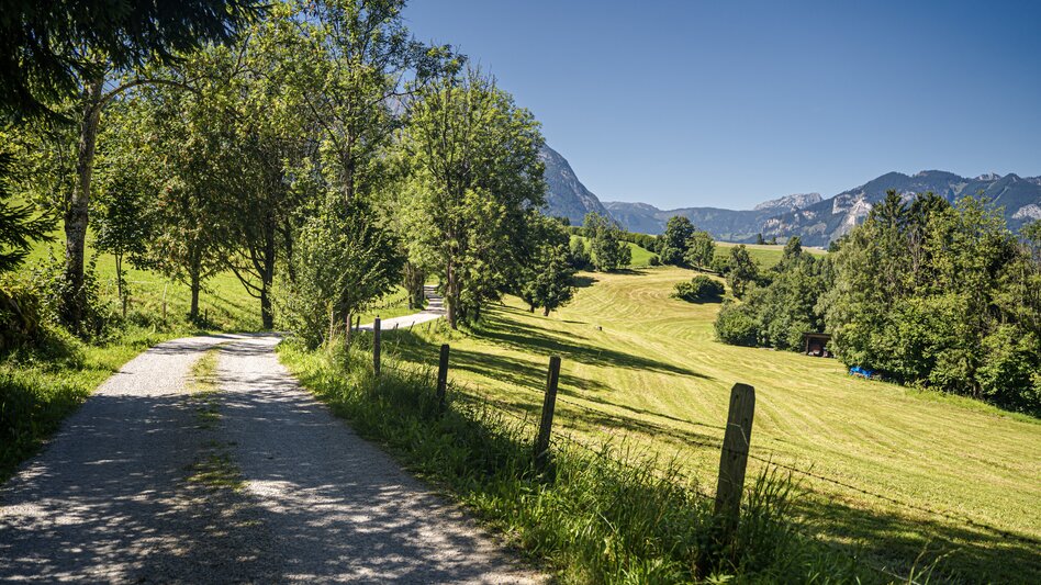 Wanderung Obermoser-Rundwanderweg - Touren-Impression #2.1 | © Gerhard Pilz