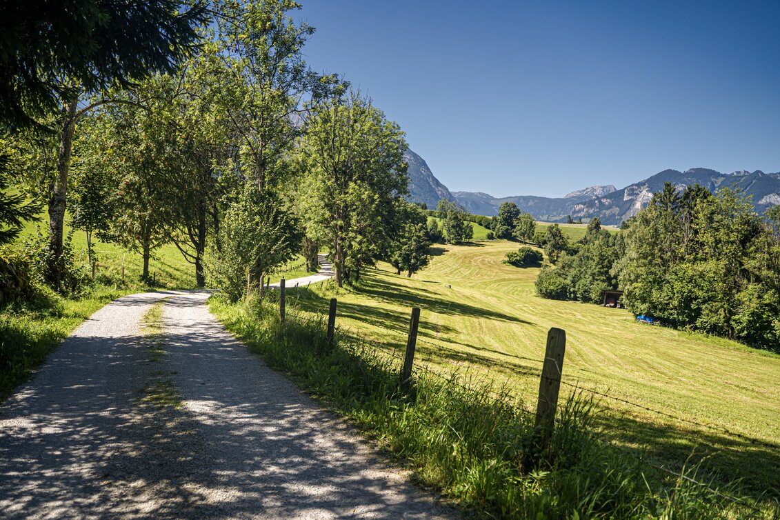Wanderung Obermoser-Rundwanderweg - Touren-Impression #1 | © Gerhard Pilz