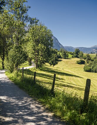 20250808_Aigen-Gatschberg-Donnersbach_4024.jpg | Gerhard Pilz | © Gerhard Pilz