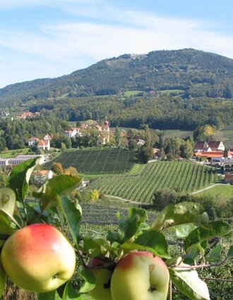 Steirische Apfelstraße | ©Walter Schneider | © Oststeiermark Tourismus