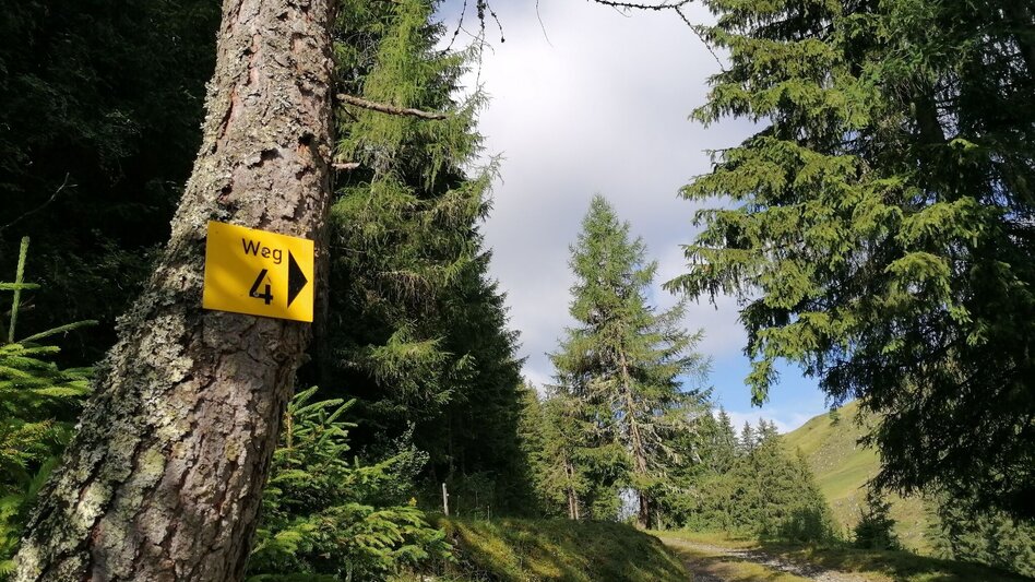 Hiking Route Grasslherrgott-Rundwanderweg - Touren-Impression #2.3 | © Erlebnisregion Schladming-Dachstein
