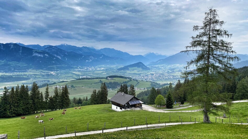 Hiking Route Grasslherrgott-Rundwanderweg - Touren-Impression #2.1 | © Clemens Egger