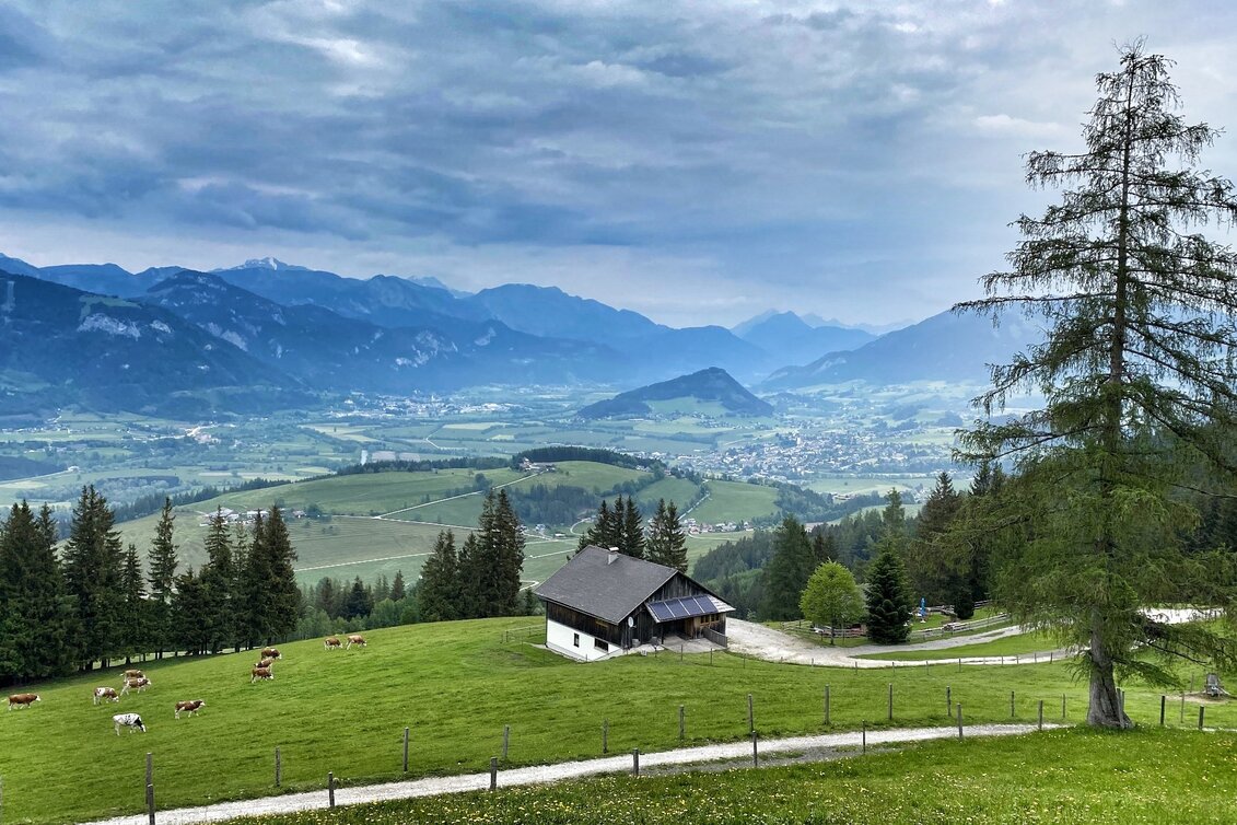 Hiking Route Grasslherrgott-Rundwanderweg - Touren-Impression #1 | © Clemens Egger
