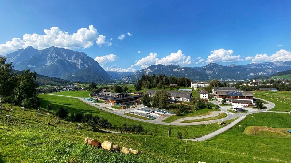 Hiking Route Roundway Raumberg - Touren-Impression #2.1 | © Clemens Egger