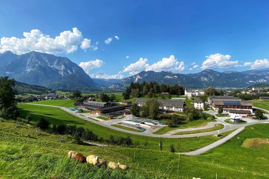 Hiking Route Roundway Raumberg - Touren-Impression #1 | © Clemens Egger