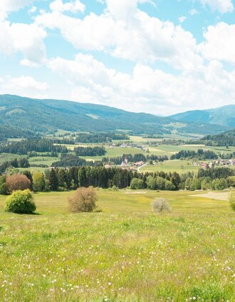 100_Ausblick auf Mühlen_(c)_René Hochegger__FB5_4838.JPG | René Hochegger | © Tourismusverband Murau