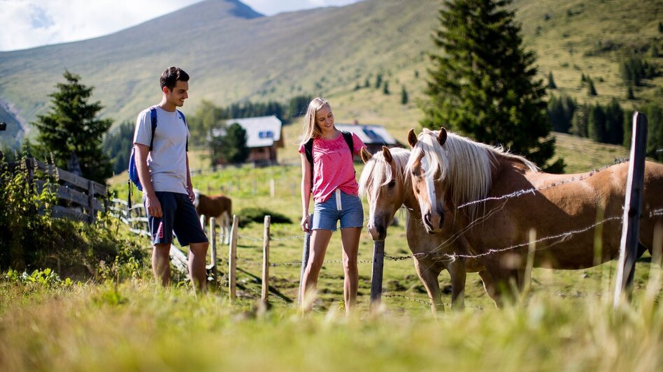 Wanderung Greimrunde - Touren-Impression #2.4 | © Tourismusverband Murau