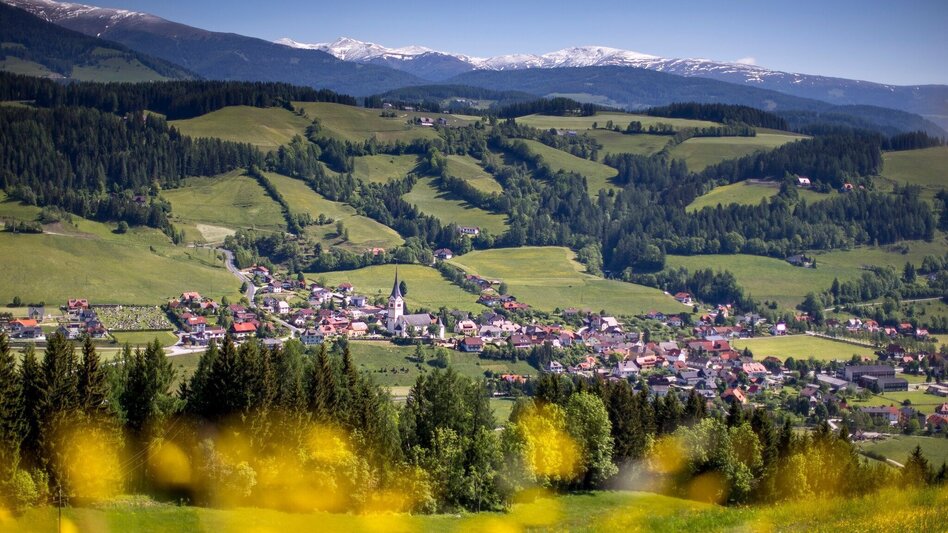 Wanderung Kammersberger Runde mit Erlebniswanderweg "Tierisch Wild" - Touren-Impression #2.1 | © Tourismusverband Murau