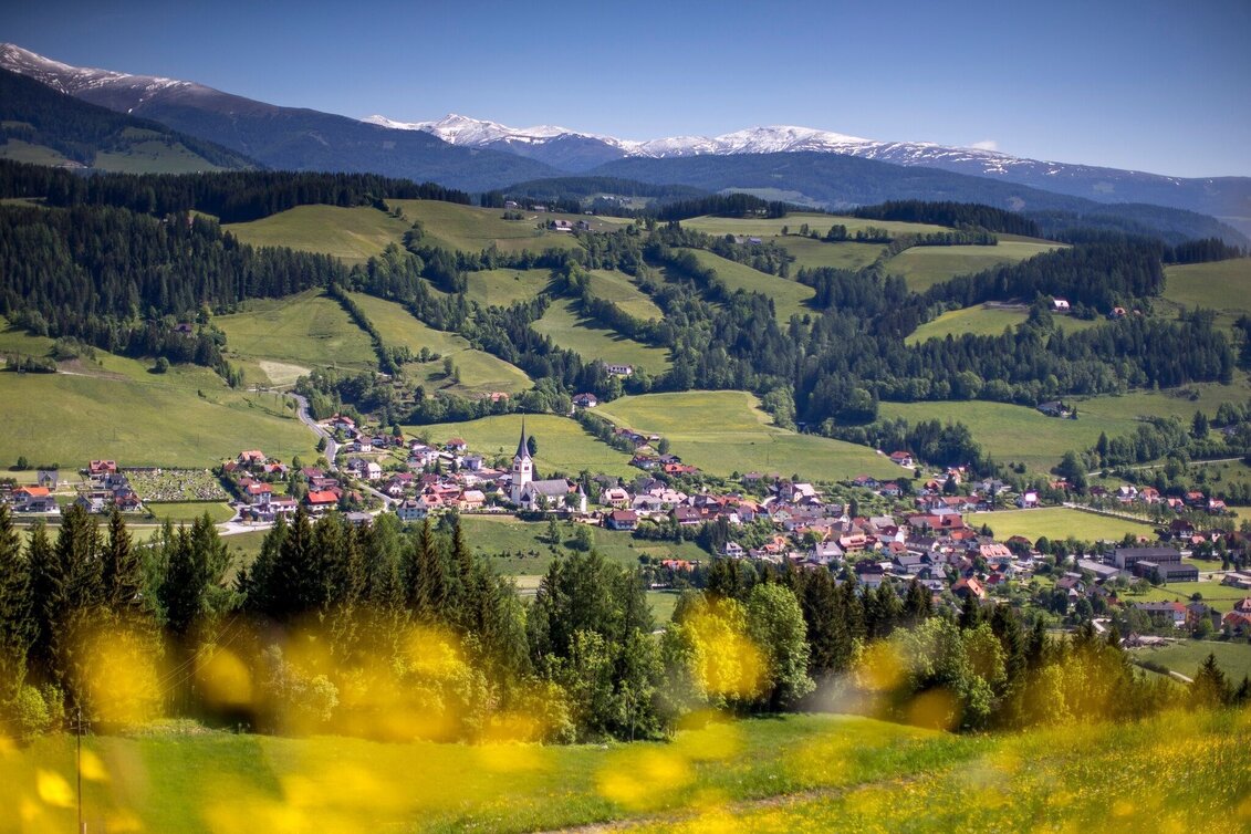 Wanderung Kammersberger Runde mit Erlebniswanderweg "Tierisch Wild" - Touren-Impression #1 | © Tourismusverband Murau
