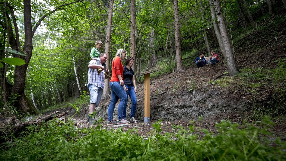 Wanderung Kammersberger Runde mit Erlebniswanderweg "Tierisch Wild" - Touren-Impression #2.5 | © TVB Murau