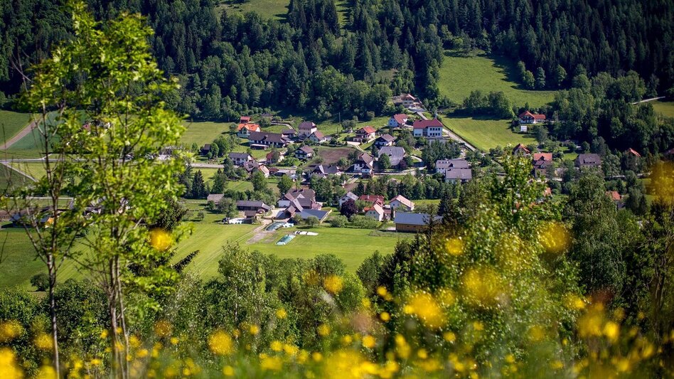 Wanderung Schattseiten-Runde - Touren-Impression #2.1 | © Tourismusverband Region Murau