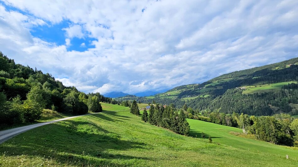 Wanderung Laasen Runde - Touren-Impression #2.3 | © TVB Murau