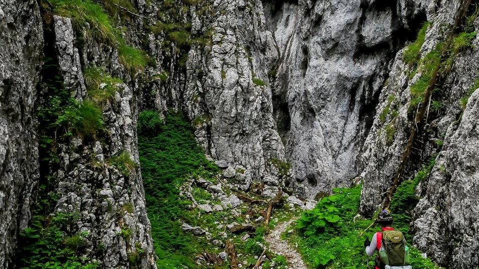Wanderung Vom Gletscher zum Wein - Die Nordroute - Touren-Impression #2.6 | © Steiermark Tourismus