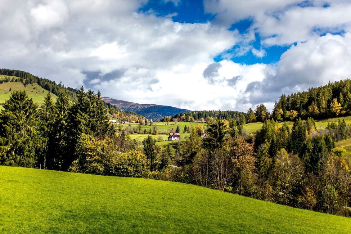 Wanderung Pöllauer Runde - Touren-Impression #1 | © Tourismusverband Murau