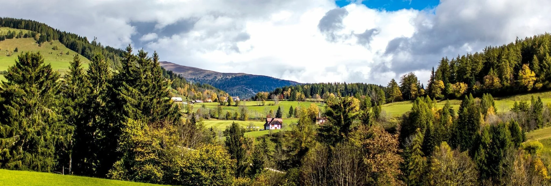 Wanderung Pöllauer Runde - Touren-Impression #1 | © Tourismusverband Region Murau