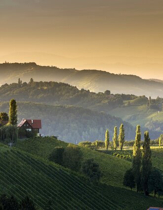 Der Naturpark Südsteiermark | Harry Schiffer | © Steiermark Tourismus