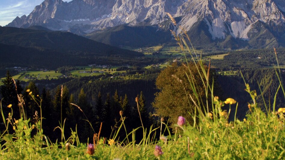 Wanderung Vom Gletscher zum Wein - Die Südroute - Touren-Impression #2.4 | © TV Ramsau am Dachstein