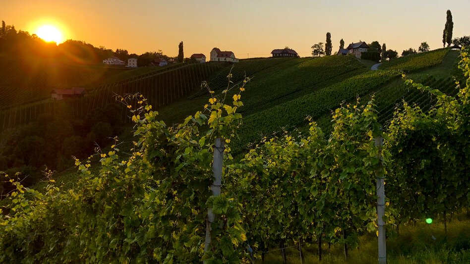 Wanderung Vom Gletscher zum Wein - Die Südroute - Touren-Impression #2.13 | © Steiermark Tourismus