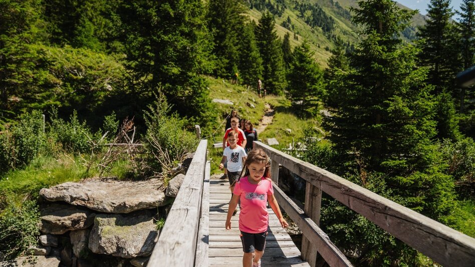 Wanderung Eselsberg Runde - Touren-Impression #2.2 | © Tourismusverband Murau