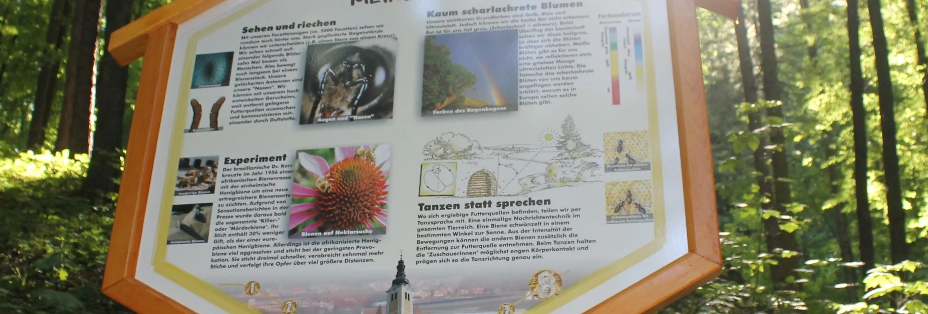 Themen- und Lehrpfad Bienenlehrpfad - "Bienen-aktiv-Lehrpfad" St. Ruprecht an der Raab - Touren-Impression #1 | © Oststeiermark Tourismus