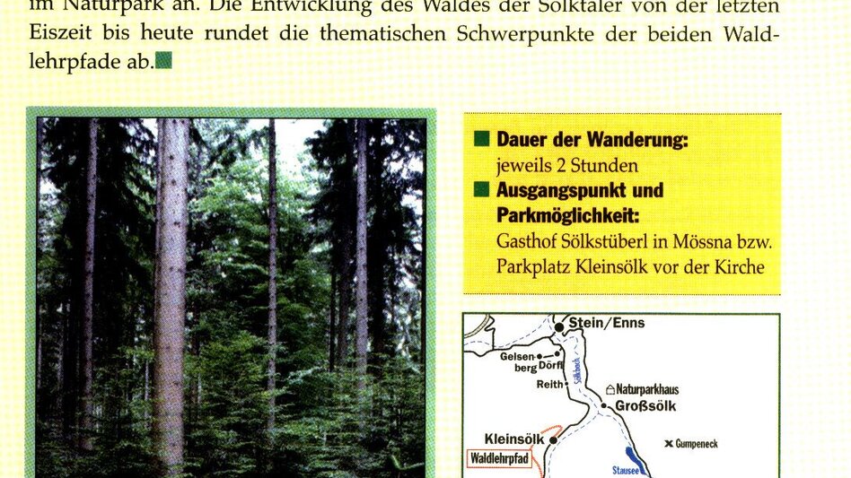 Hiking Route Hiking Path "Forest" in Kleinsölk - Touren-Impression #2.2 | © Erlebnisregion Schladming-Dachstein