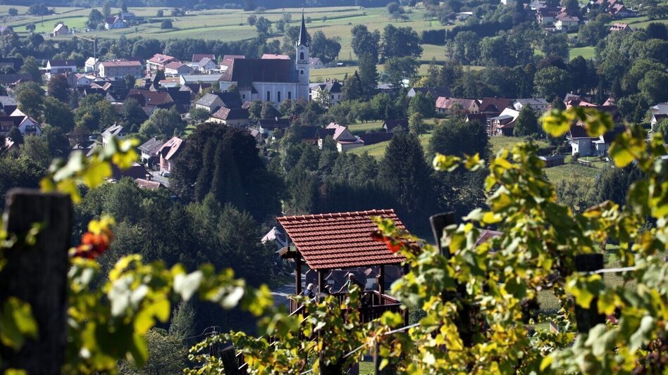 Wanderung Winzerweg in Bad Gams - Touren-Impression #2.3 | © TV Südsteiermark
