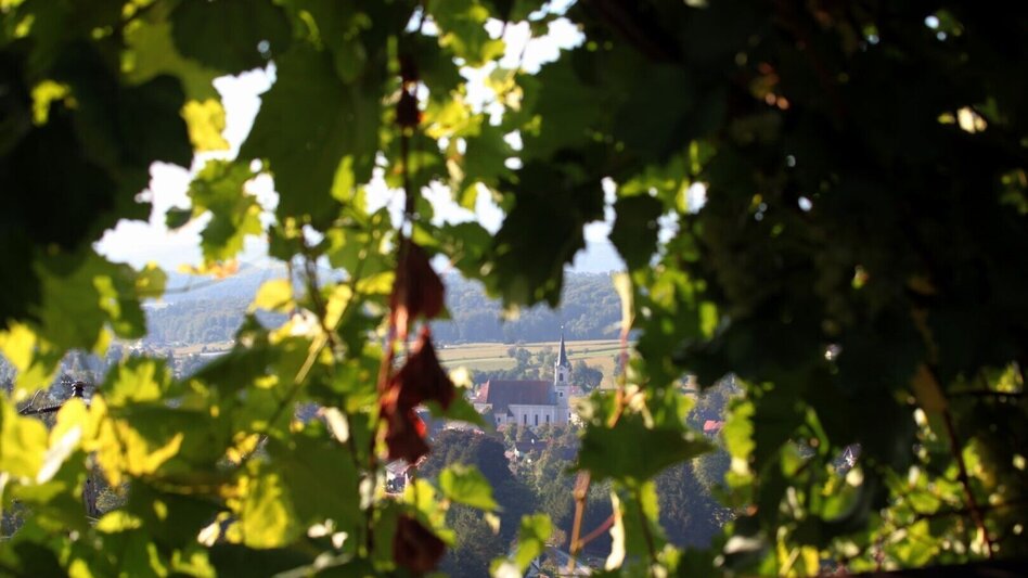 Wanderung Winzerweg in Bad Gams - Touren-Impression #2.2 | © TV Südsteiermark