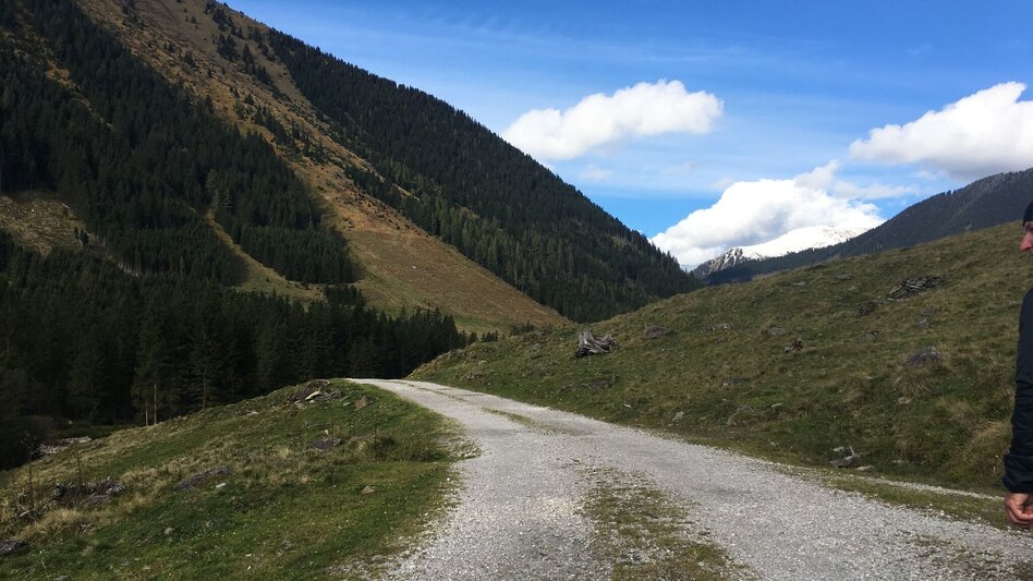 Hiking Route "Secrets of water" Bräualm - Touren-Impression #2.2 | © Erlebnisregion Schladming-Dachstein