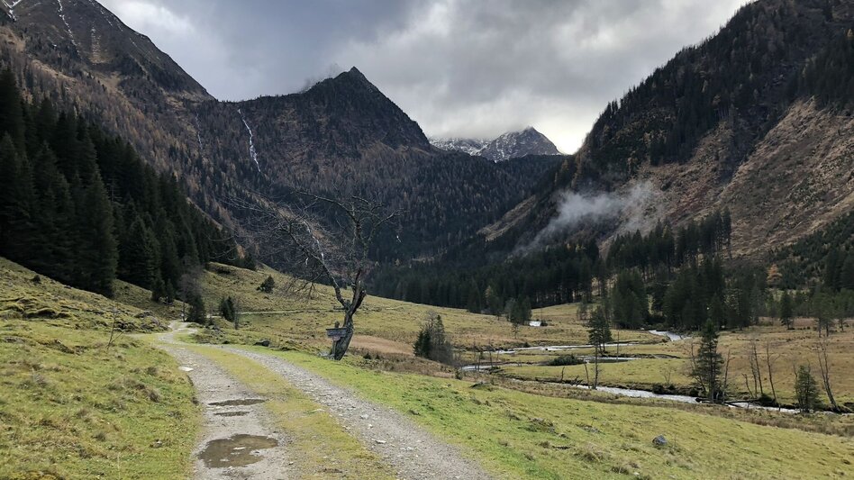Hiking Route "Secrets of water" Bräualm - Touren-Impression #2.8 | © Erlebnisregion Schladming-Dachstein