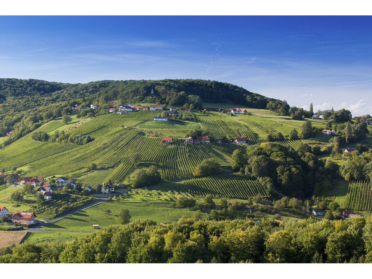 Blick von St. Anna auf die Riede Scheming | © Steiermark Tourismus