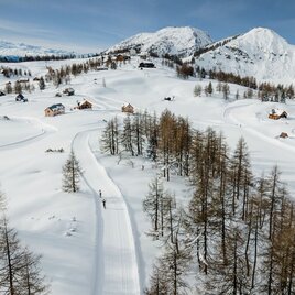Langlaufen auf der Tauplitzalm | © TVB Ausseerland Salzkammergut