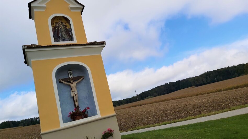 Radfahren Genuss-Tour; Ökoregion Kaindorf - Touren-Impression #2.2 | © Oststeiermark Tourismus