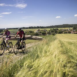 Erkunden der Villa Rustica rund um Löffelbach | © Oststeiermark Tourismus