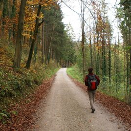kurz nach dem Ausgangspunkt | © Tourismusregion OberGraz