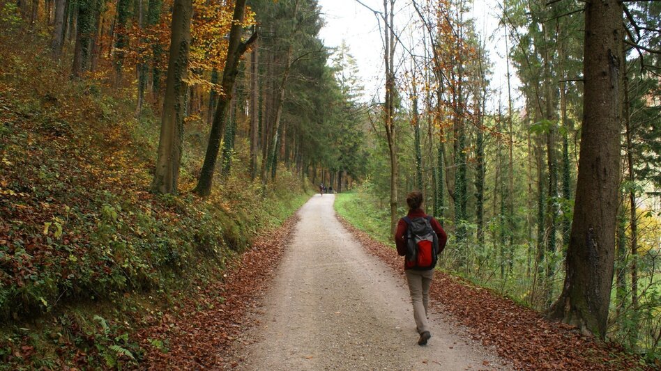 Wanderung Mühlbacher Hütte Rundwanderung über den Kaschlsteig - Touren-Impression #2.1 | © Tourismusregion OberGraz