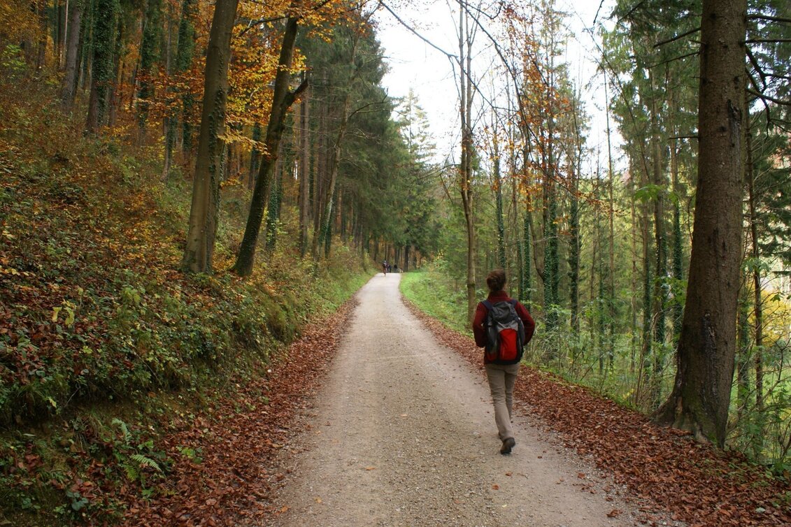 Wanderung Mühlbacher Hütte Rundwanderung über den Kaschlsteig - Touren-Impression #1 | © Tourismusregion OberGraz