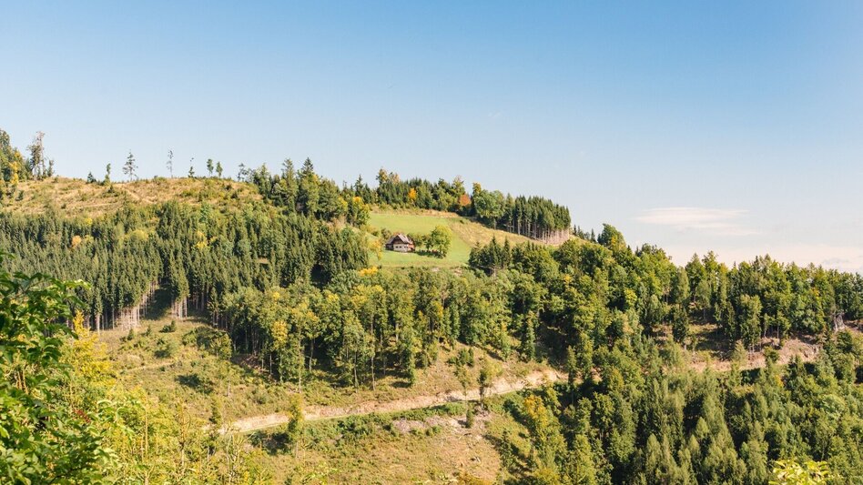 Wanderung Mühlbacher Hütte Rundwanderung über den Kaschlsteig - Touren-Impression #2.13 | © Region Graz