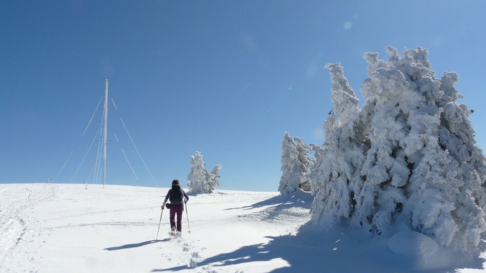 Snowshoe Walking Schneeschuhwanderung auf die Amundsenhöhe - Touren-Impression #2.3 | © TV Hochsteiermark