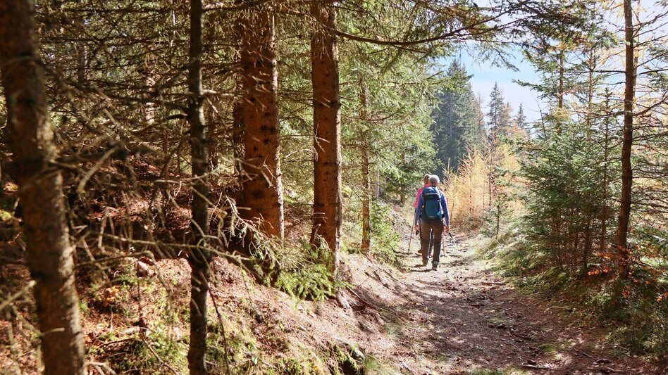 Wanderung Rosenkogel über Sommerriedelweg - Touren-Impression #2.5 | © Weges OG
