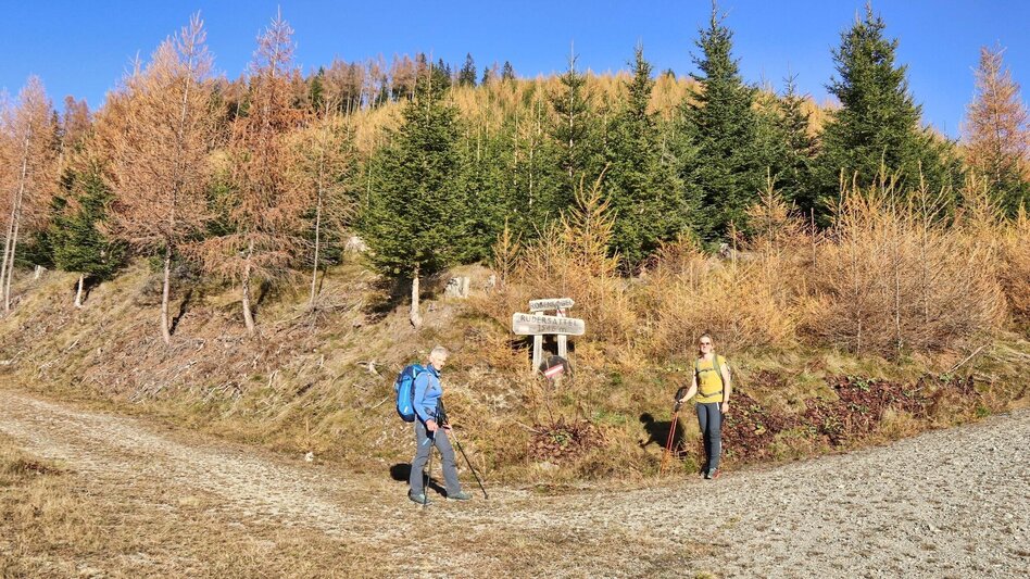 Wanderung Rosenkogel über Sommerriedelweg - Touren-Impression #2.6 | © Weges OG