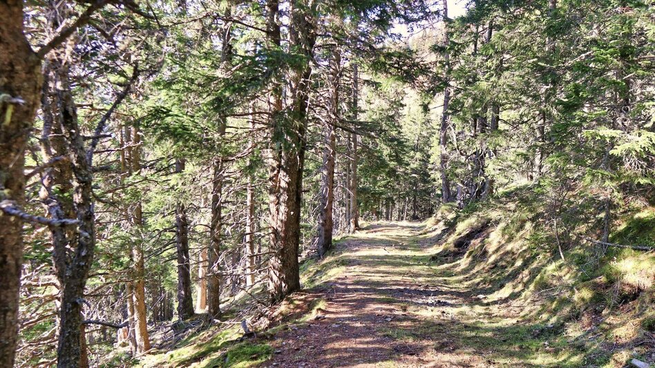 Wanderung Rosenkogel über Sommerriedelweg - Touren-Impression #2.7 | © Weges OG