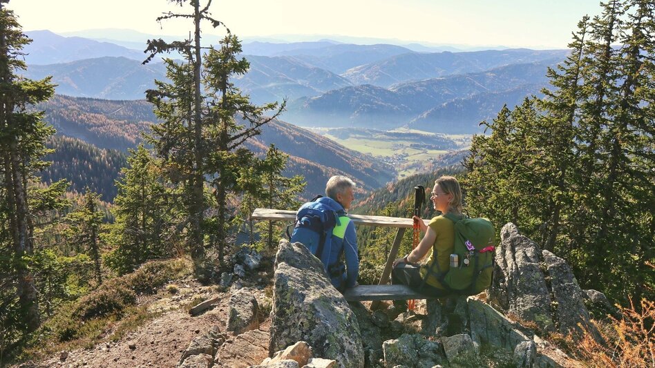Wanderung Rosenkogel über Sommerriedelweg - Touren-Impression #2.9 | © Weges OG