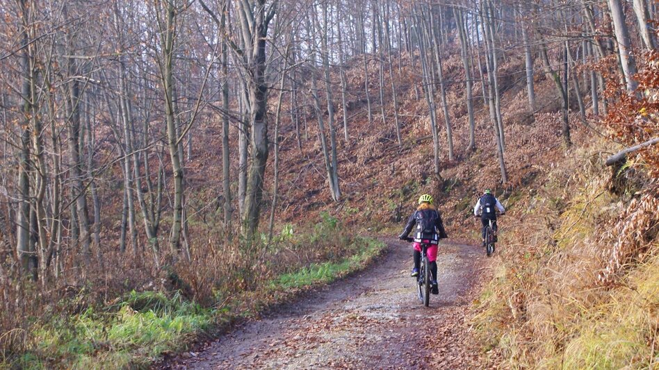 Mountainbike Pleschkogelrunde 130 - MTB - Touren-Impression #2.3 | © Region Graz