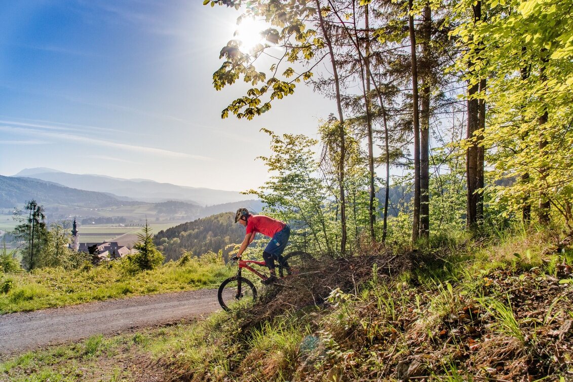Mountainbike Pleschkogelrunde 130 - MTB - Touren-Impression #1 | © Region Graz
