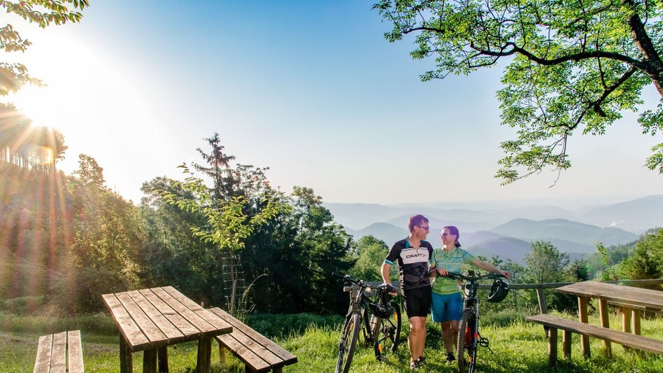Mountainbike Pleschkogelrunde 130 - MTB - Touren-Impression #2.4 | © Region Graz