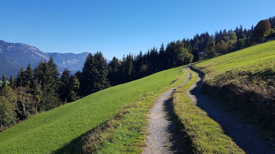 Hiking Route Trail n° 50 to Planai - Touren-Impression #2.2 | © Gerhard Pilz