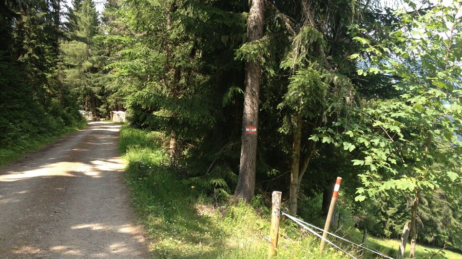 Hiking Route Trail n° 50 to Planai - Touren-Impression #2.3 | © Gerhard Pilz