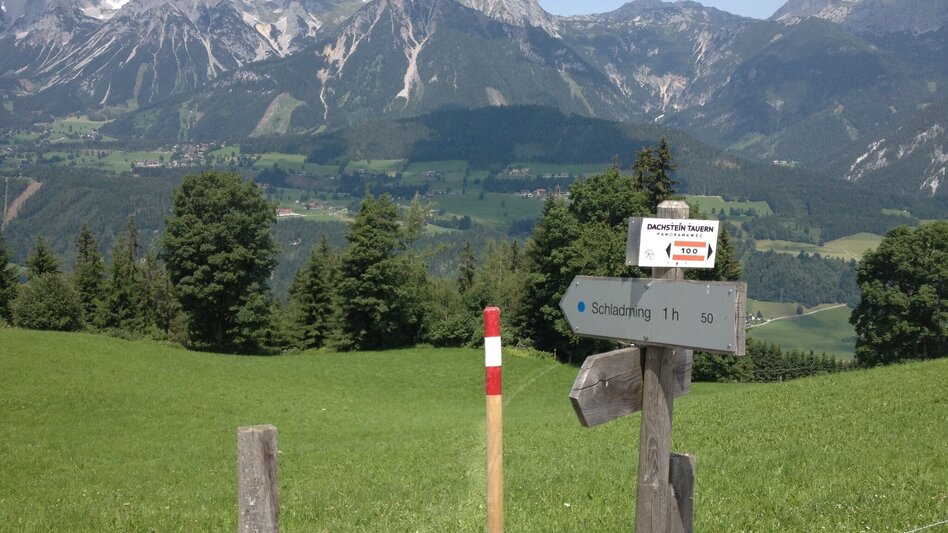 Hiking Route Trail n° 50 to Planai - Touren-Impression #2.4 | © Gerhard Pilz