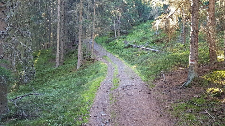 Hiking Route Trail n° 50 to Planai - Touren-Impression #2.6 | © Gerhard Pilz