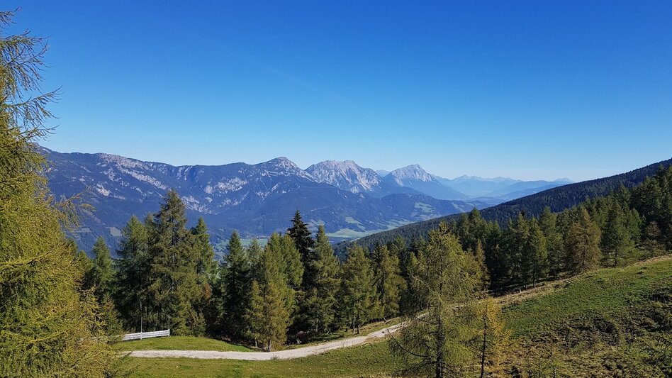 Hiking Route Trail n° 50 to Planai - Touren-Impression #2.1 | © Gerhard Pilz